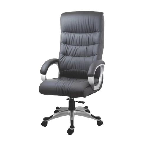 Director Chair